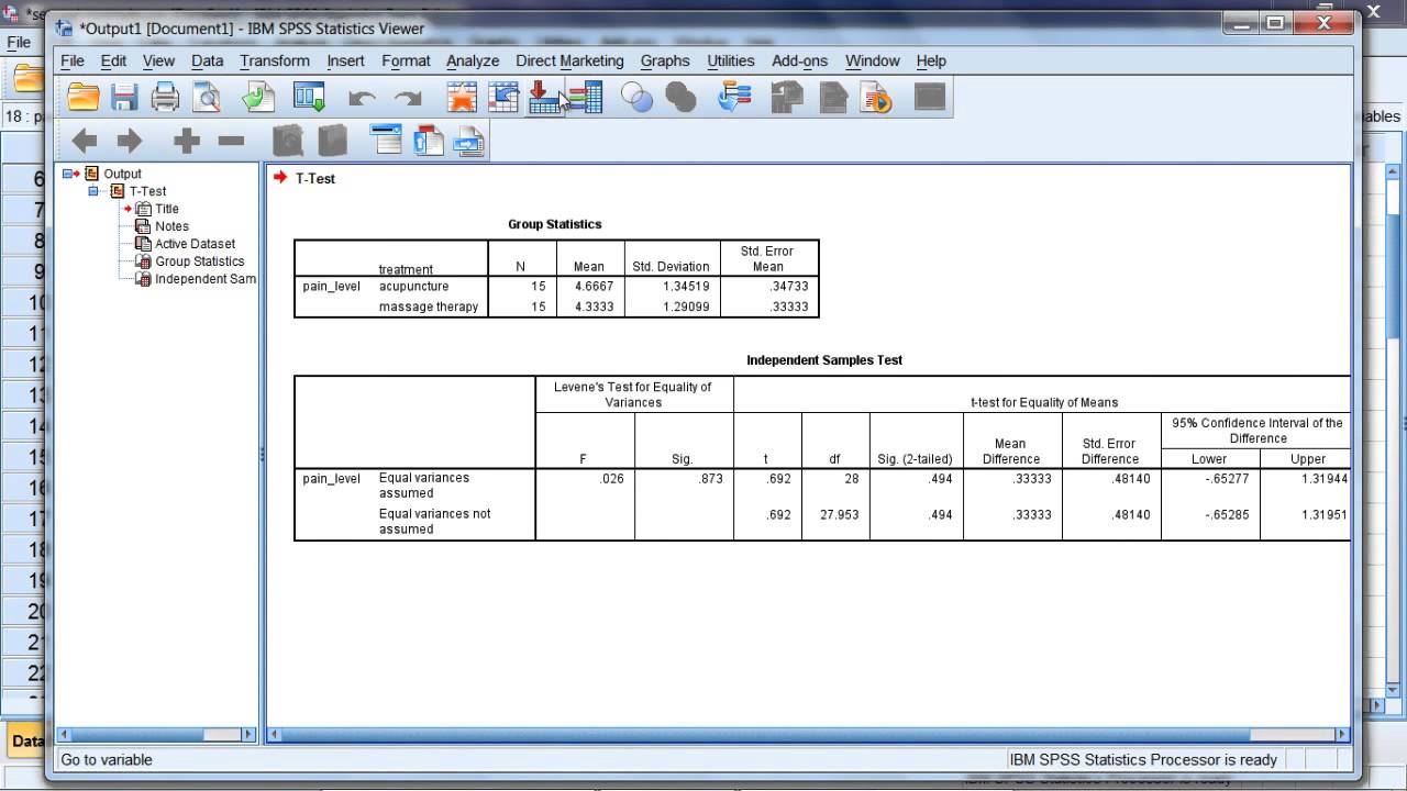 Independent t Test in SPSS