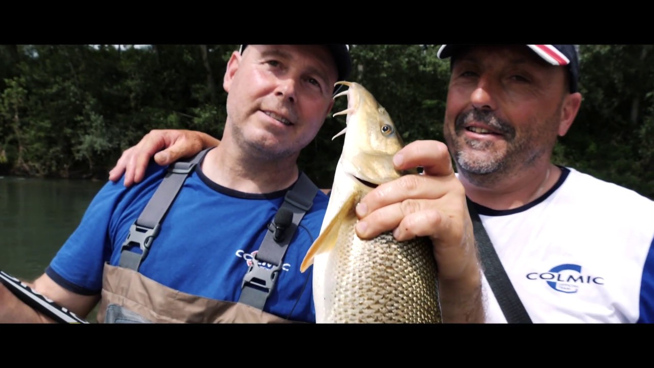 Barbi in corrente con la bolognese (Colmic)