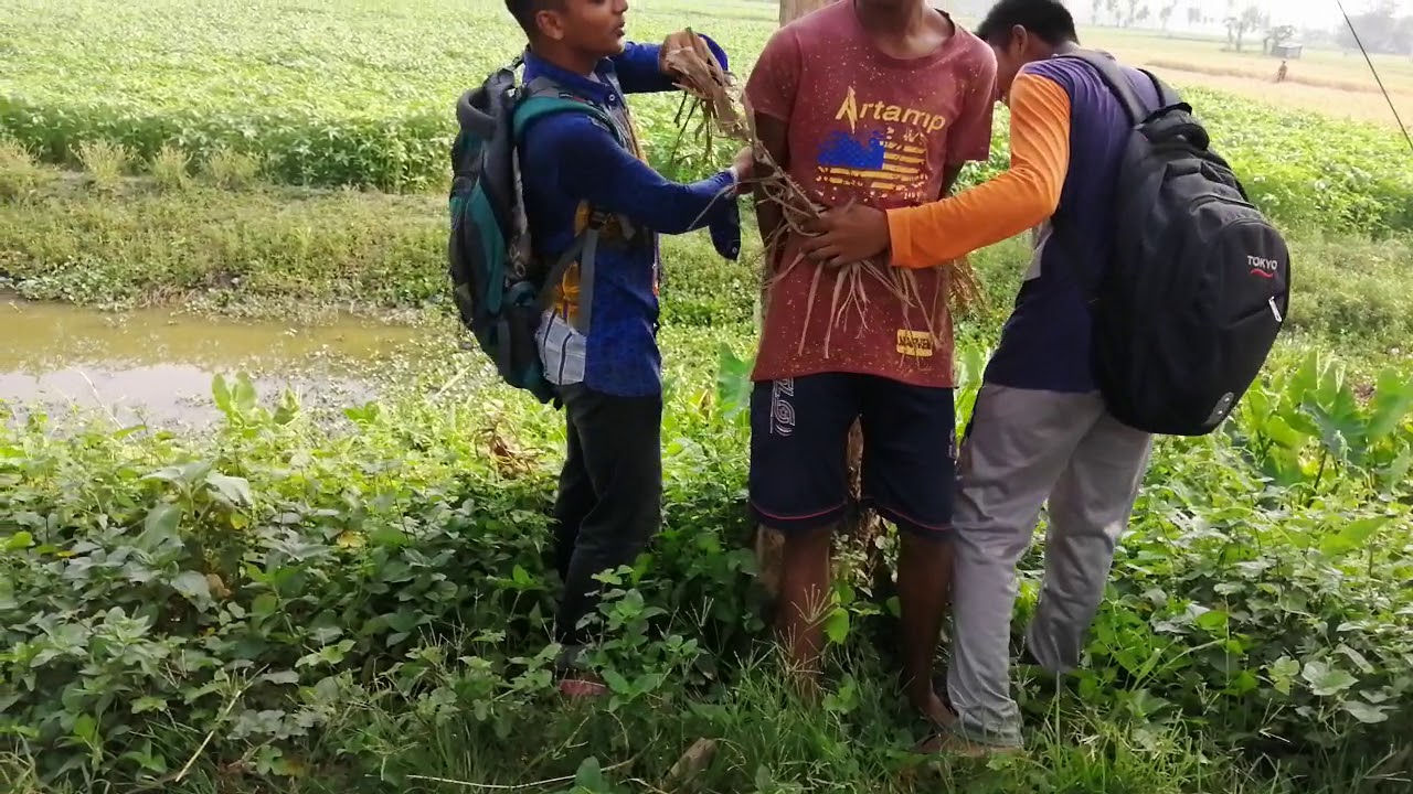 classyr ফাকে মজা