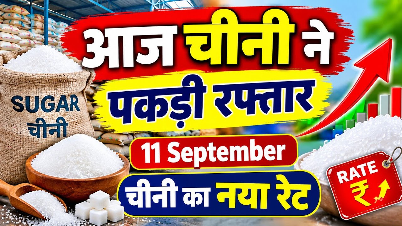 चीनी ने पकड़ी रफ्तार 🥵11_सितंबर Chini price 🔥| sugar wholsale price | Chini wholsale price Today 