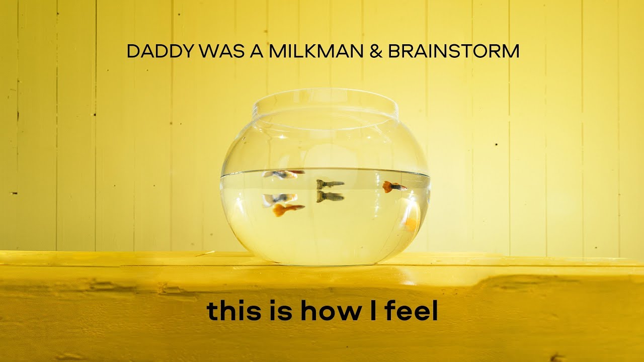 Daddy Was A Milkman & BrainStorm - This is how i feel (Official lyric video)