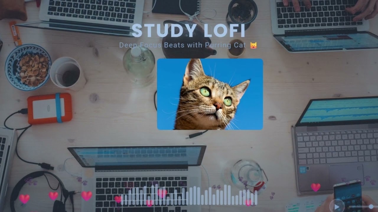 🐱 STUDY LOFI - 3 Hours Deep Focus Music with Purring Cat | Relaxing Beats to Study/Work 適合讀書/工作專注力提升