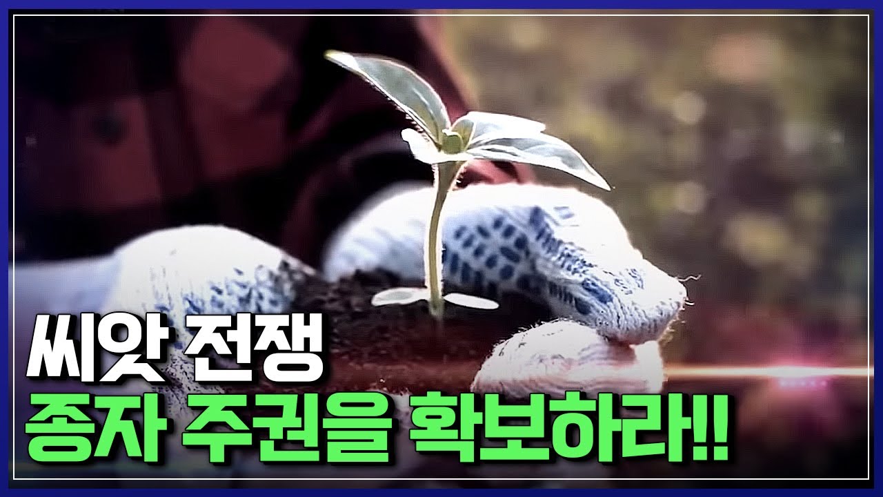 씨앗 전쟁, 종자 주권을 확보하라!! | 다큐S프라임 [반복재생]/YTN 사이언스