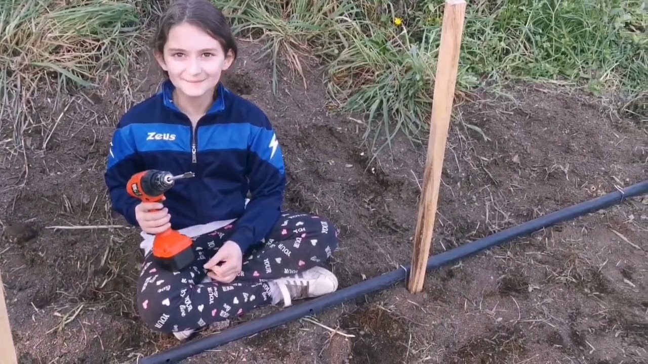 impianto d' irrigazione  a goccia pi&ugrave; telo paciamante