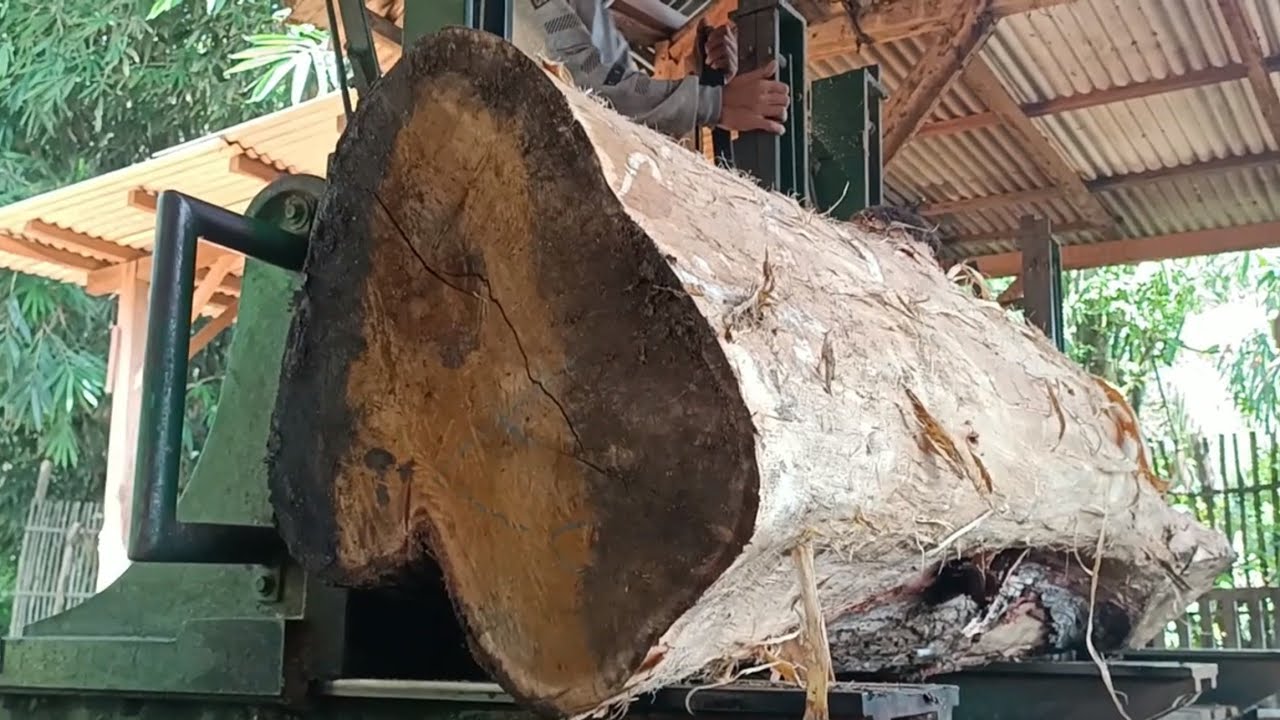 Mystery lump of wood in the sawmill 