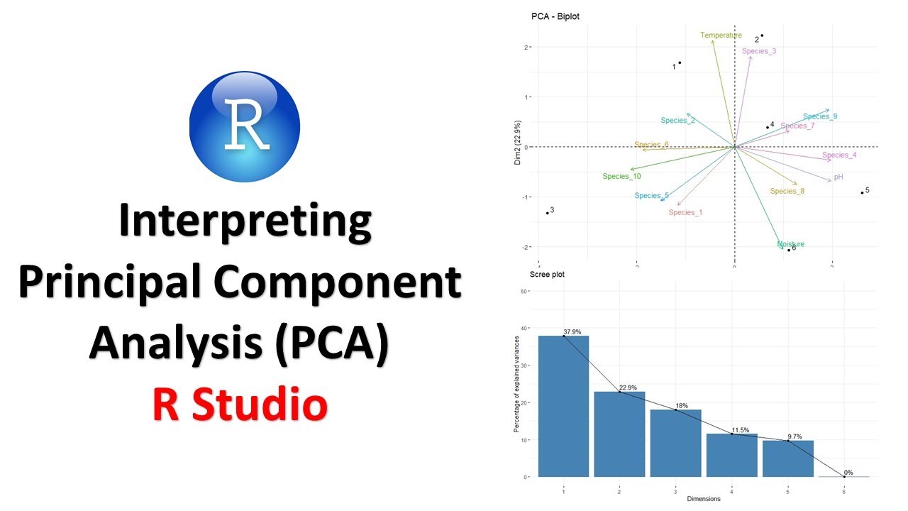 Как интерпретировать результаты анализа главных компонент (PCA) в R Studio | Анализ данных: объяс...