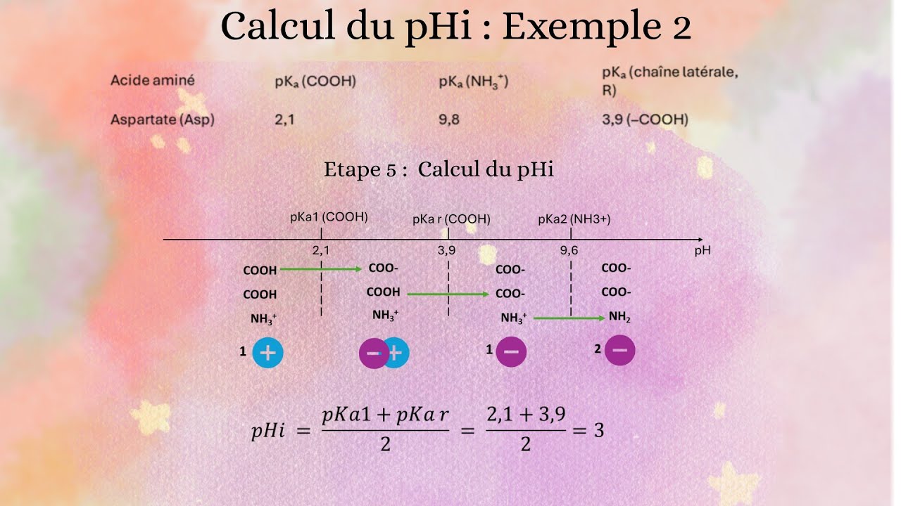 Biochimie | Les acides aminés : Calcul du pHi