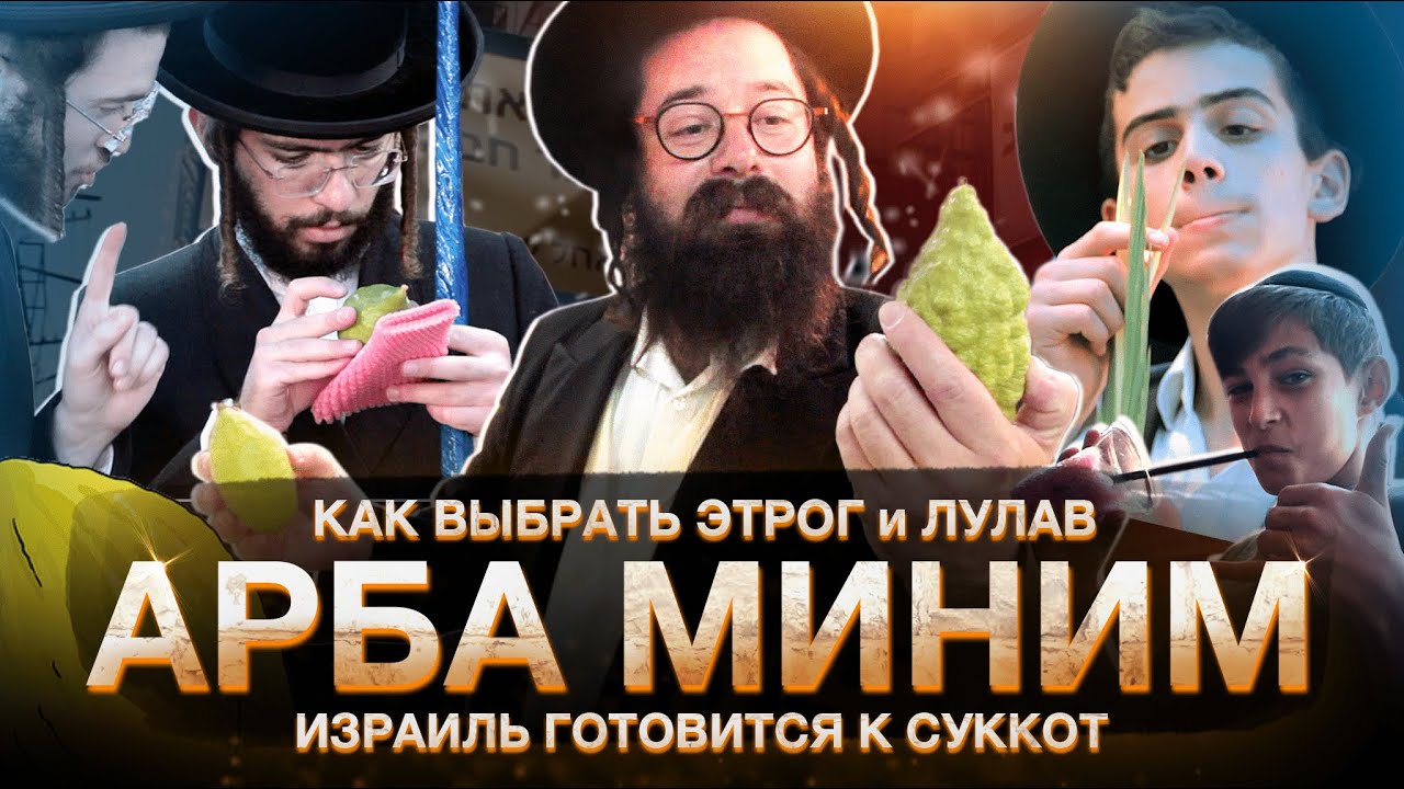 Суккот в Иерусалиме // Как выбрать Этрог и Лулав? // В поисках Арба Миним // Раввин Элияу Гладштейн