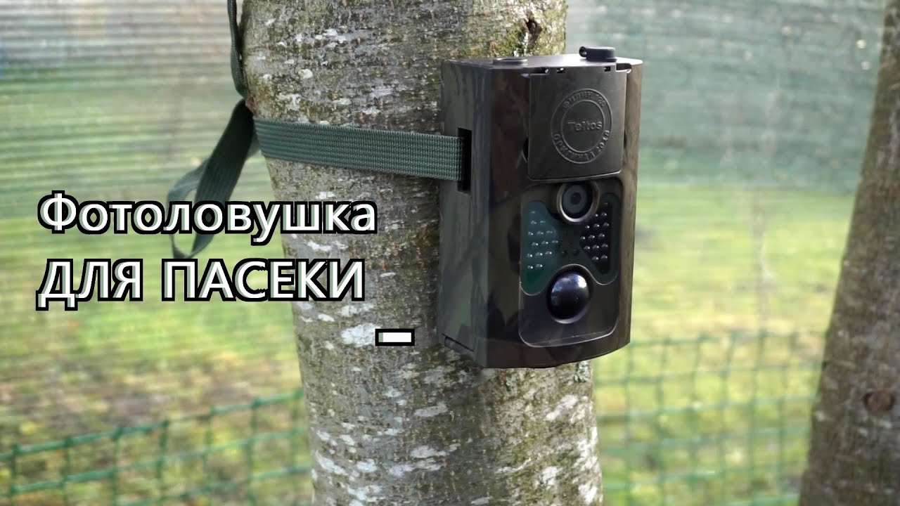ФОТОЛОВУШКА ДЛЯ ПАСЕКИ. #ОбзорФотоловушки