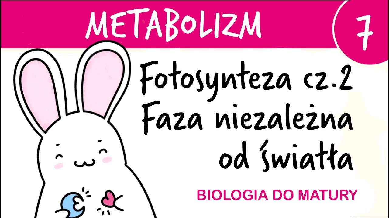 Metabolizm 7 - Fotosynteza cz.2 faza niezależna od światła / cykl Calvina - biologia do matury
