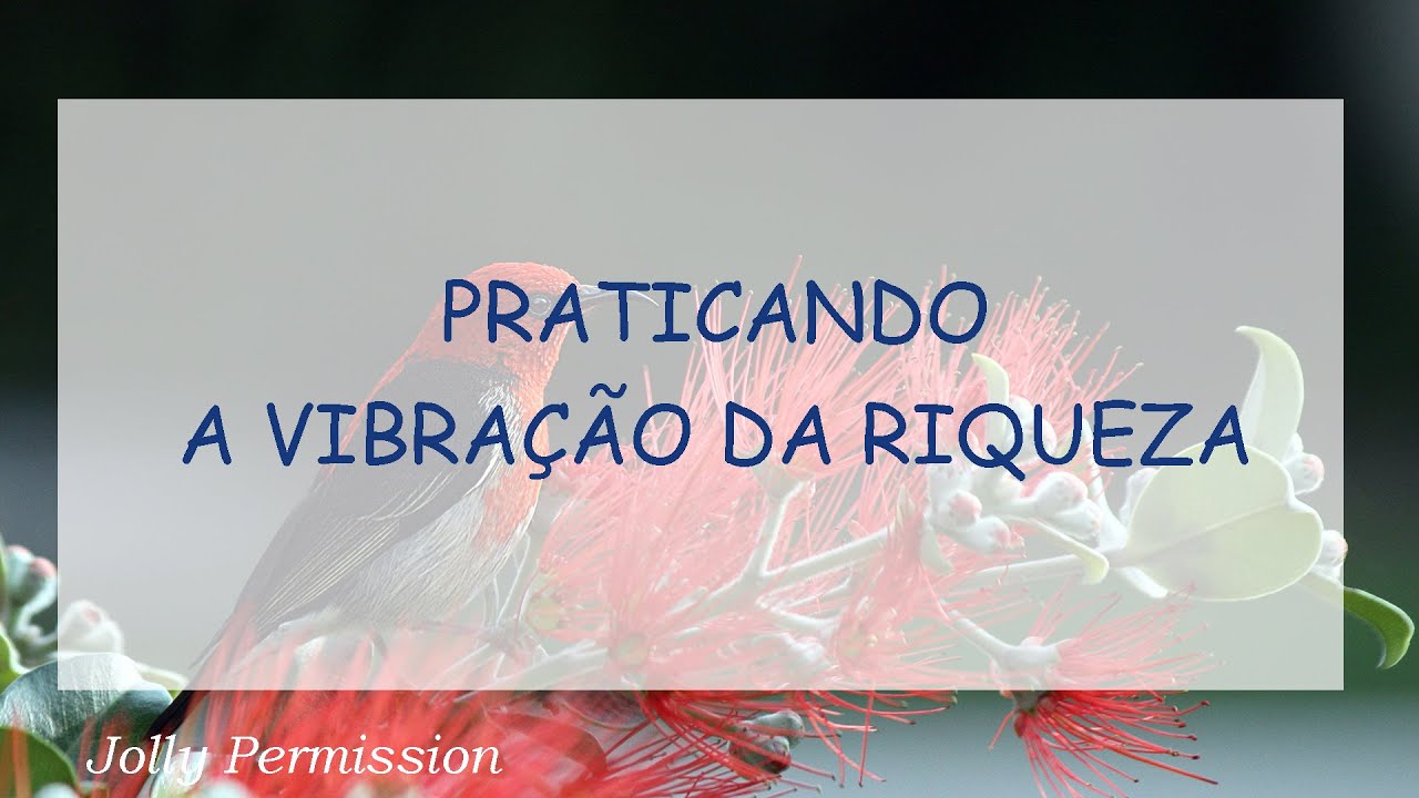 Praticando a Vibra&ccedil;&atilde;o da Riqueza (Abraham Hicks em portugu&ecirc;s)