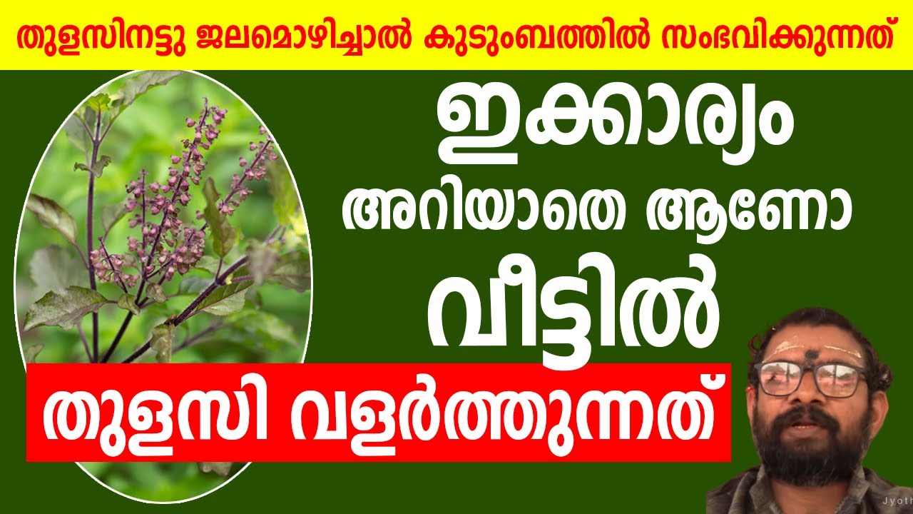 തുളസിനട്ടു ജലമൊഴിച്ചാല്‍ കുടുംബത്തില്‍ സംഭവിക്കുന്നത്