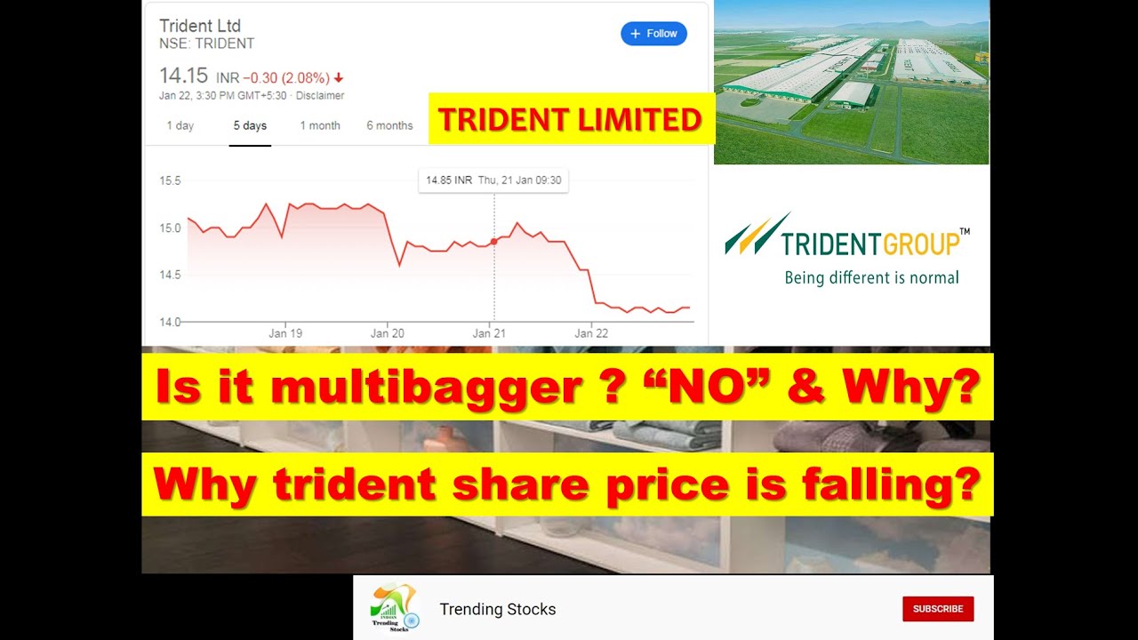 Trident Limited - why trident price is falling? it multibagger stock? shall we buy now? 