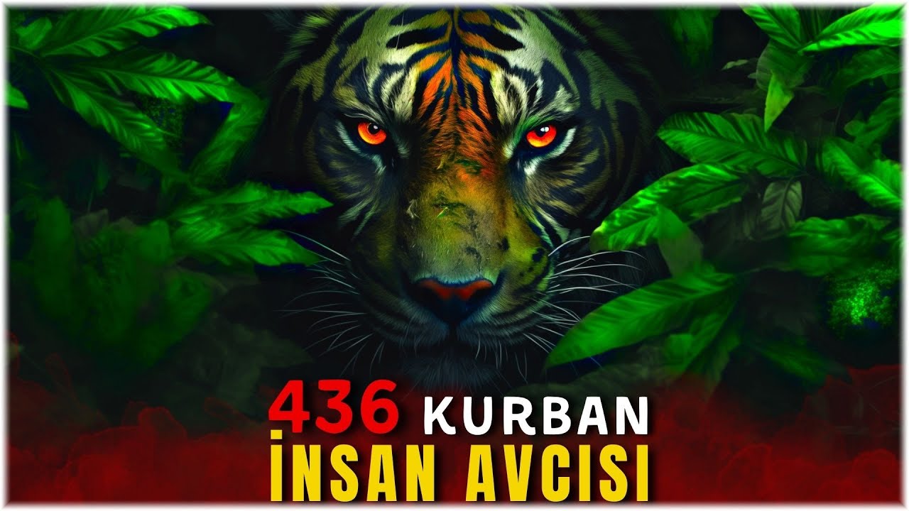 436 İNSANI YİYEN Champawat Kaplanı !