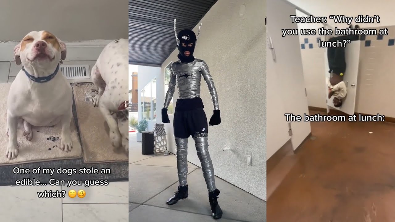 Funny TikToks That Made Me Unable To Think Of A Good Title