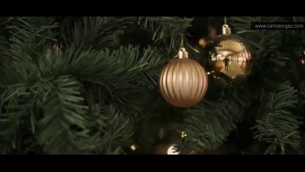 Felices Fiestas  (www.carlosorgaz.com)