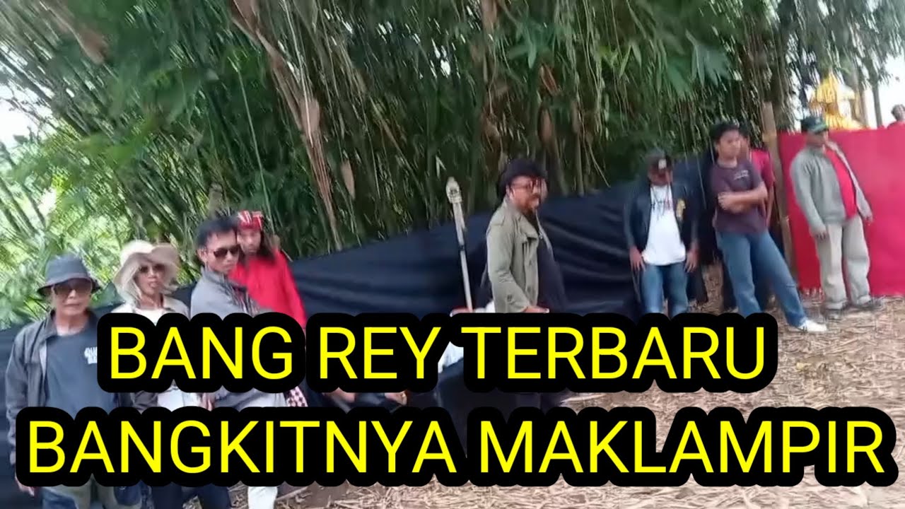 JALAK SETA MASIH KEBINGUNGAN