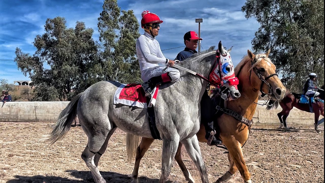 Que Carrerón | El Licenciado Vs El Ranchero, Carril 2000 Durango Méx.