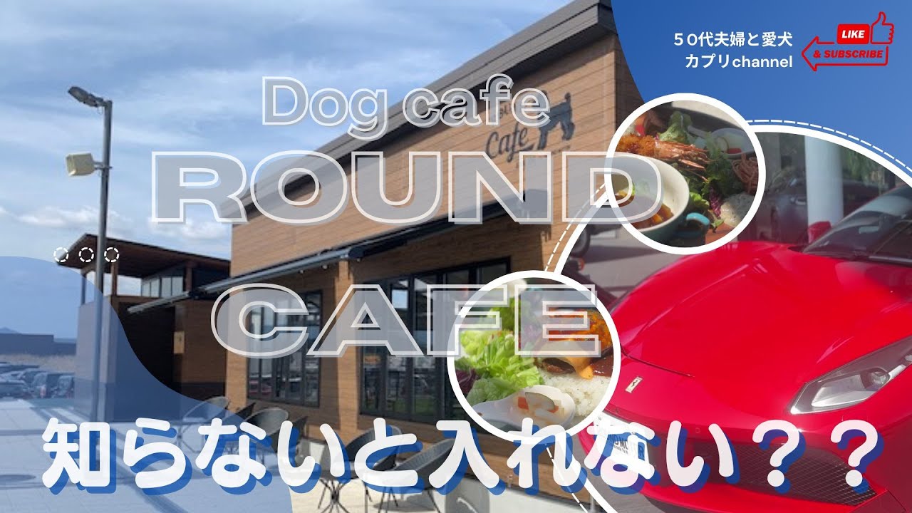 『ワンコとお出掛け』　奈良県桜井市に出来た愛犬家&車好きに大人気のカフェ