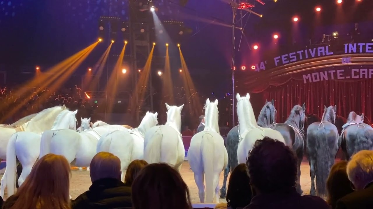 Festival International du 🎪cirque de  🇲🇨Monte Carlo 2020 Horses, Cavalo🐎
