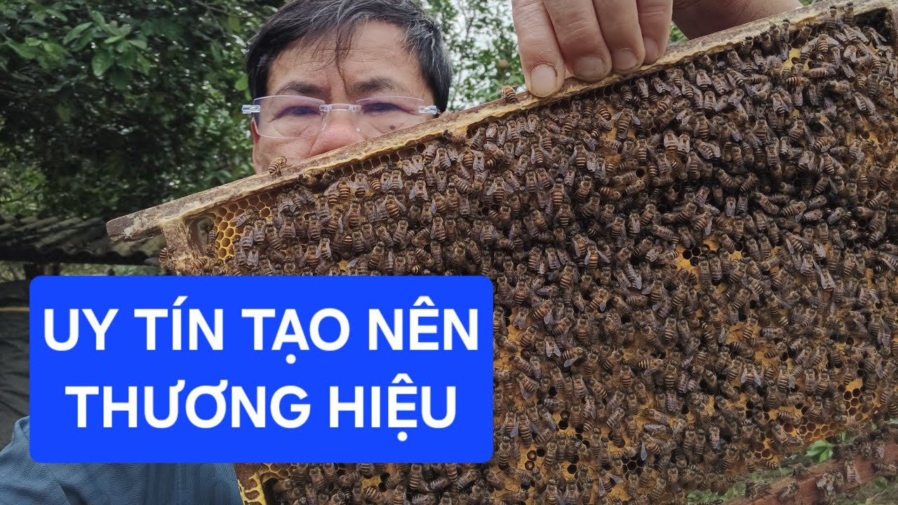 CÁCH CHỌN ONG GIỐNG CHẤT LƯỢNG ĐẦU XUÂN (KỸ THUẬT NUÔI ONG NINH PHƯƠNG)