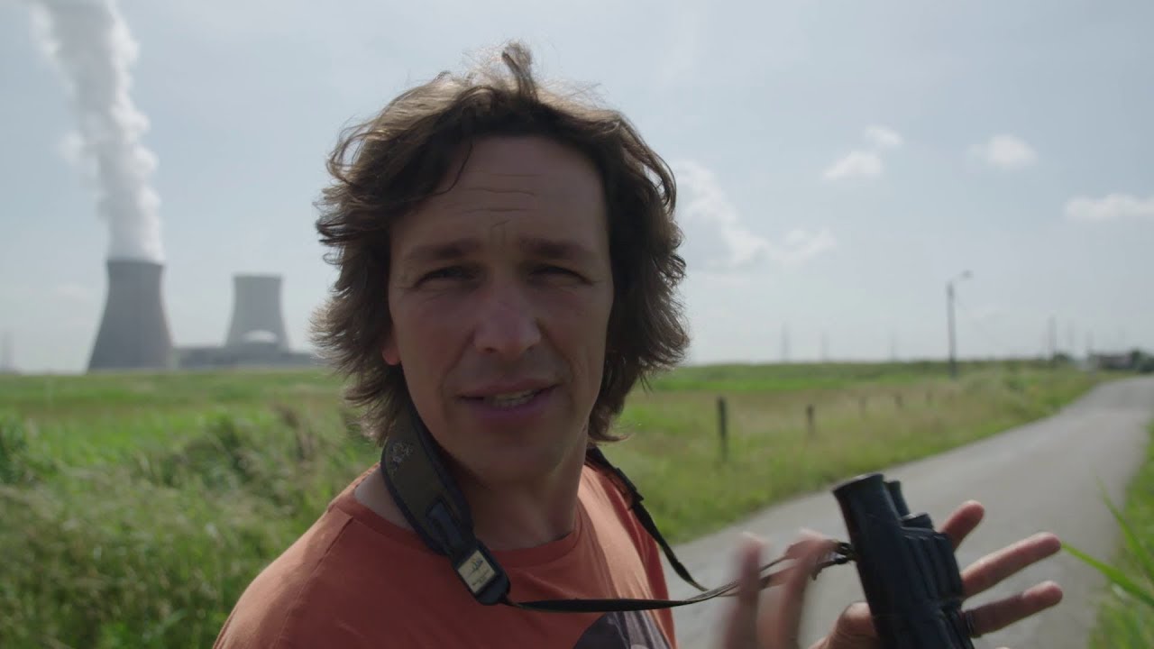 Watermannen (aflevering 3): op zoek naar de lepelaar in de Antwerpse haven