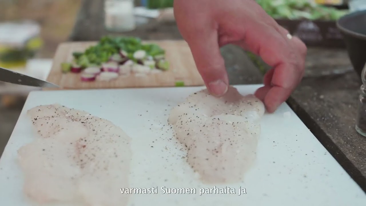 Ammattina Kalastusopas