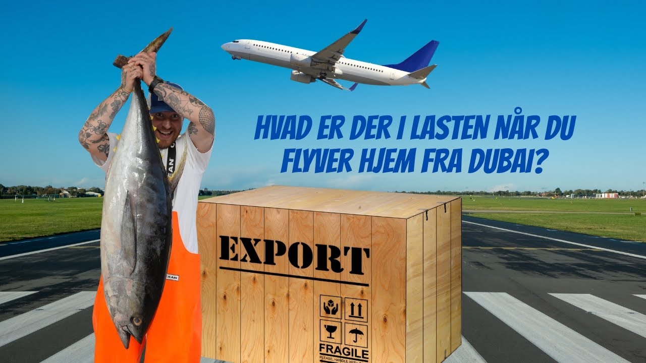 Tatar på gulfinnet tun