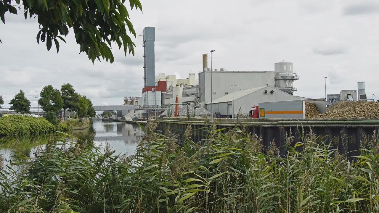 Bietencampagne 2021 Hoogkerk, damp- en geurloos.