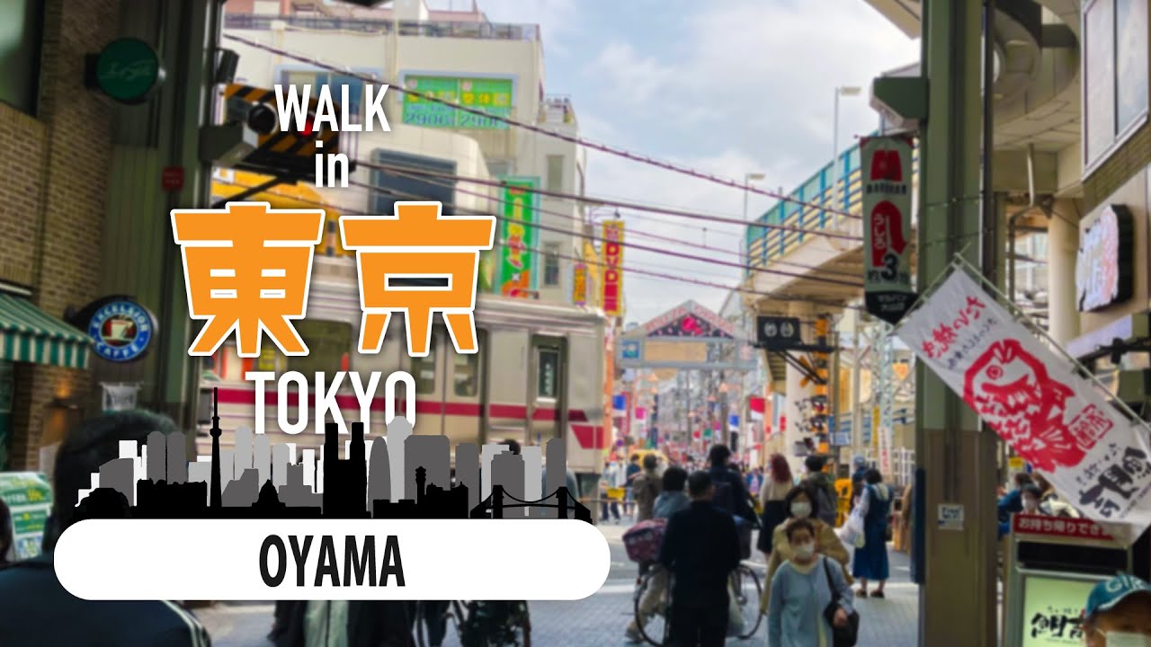 Walk in Tokyo (Oyama)