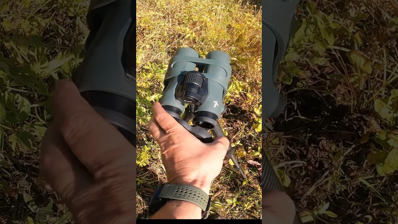 Swarovski NL Pure 8x42mm Binoculars! #swarovski #swaro #binoculars #review #youtuber