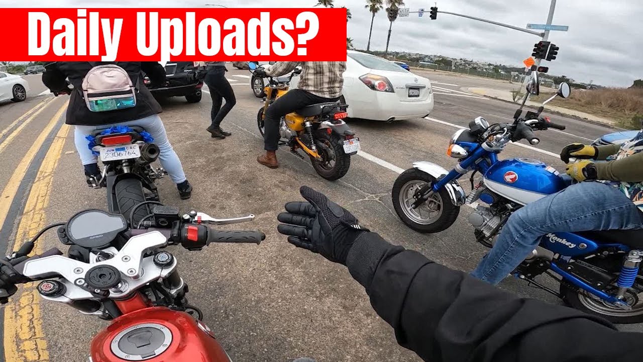 Rare sight to see, I found 3 other Honda Monkeys...