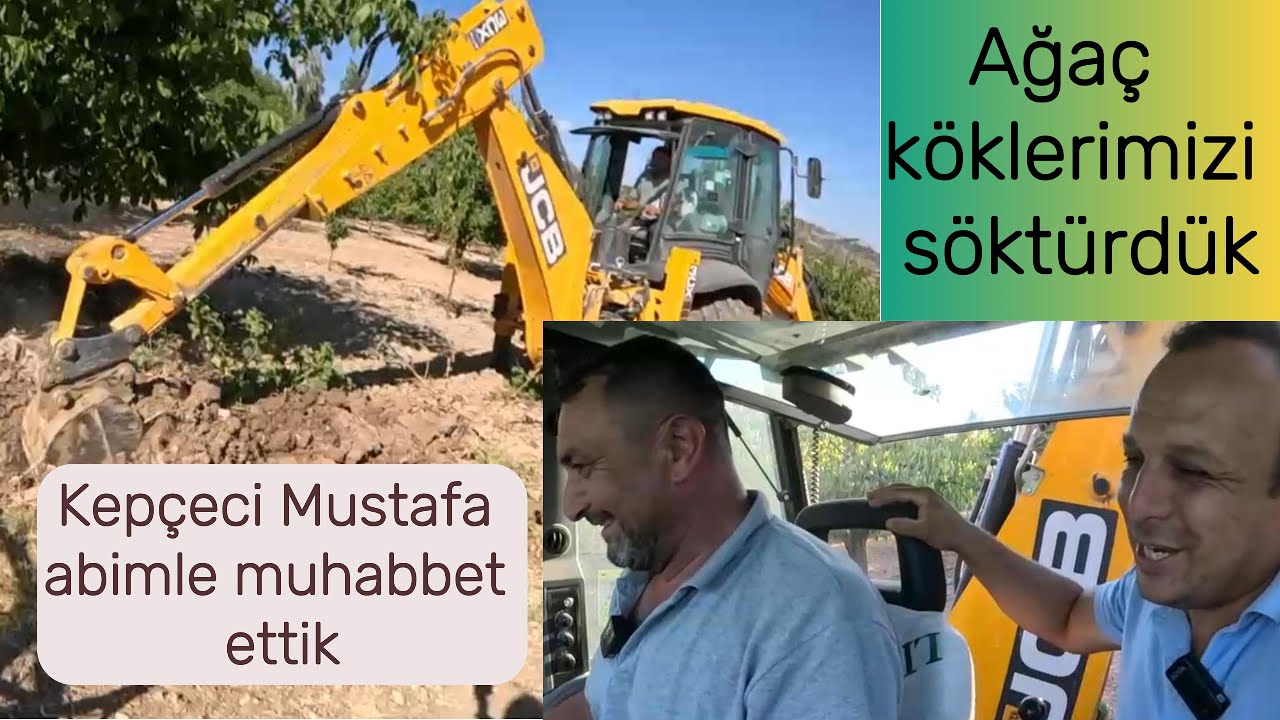 Kuruyan ağaçlarımızın köklerini söktürdük. Mustafa abimle muhabbet ettik.#jcb #operator #kepçe 