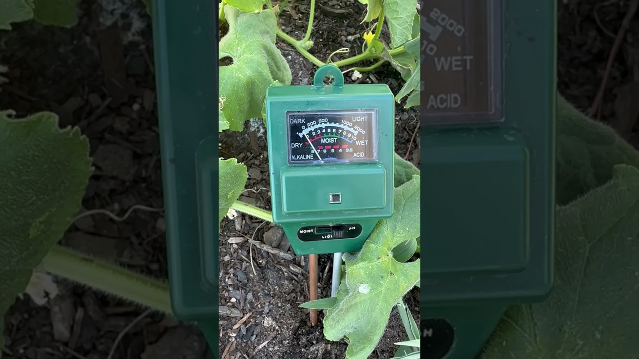 How To Adjust Soil pH