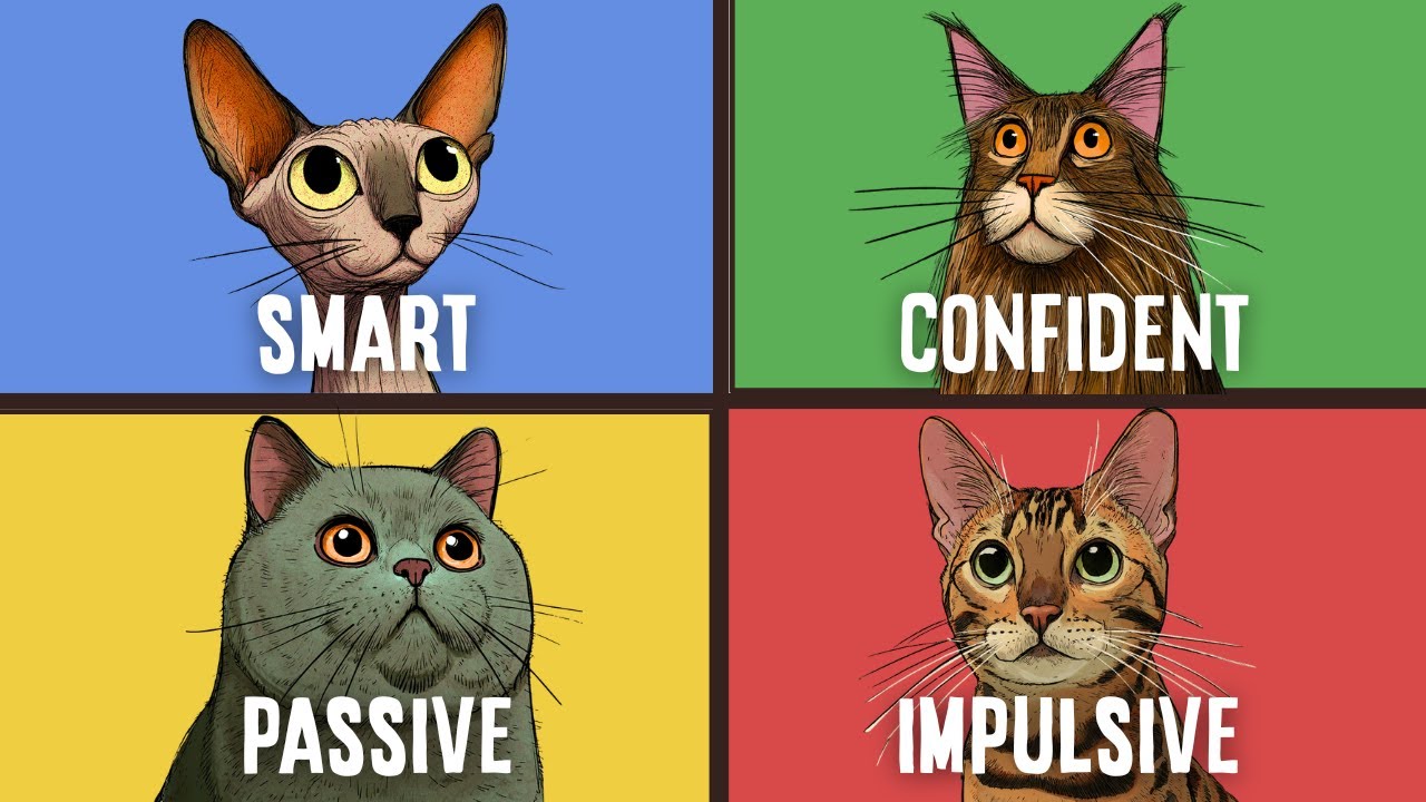 What Your Cat's Breed Says About You (Psychology Explained)