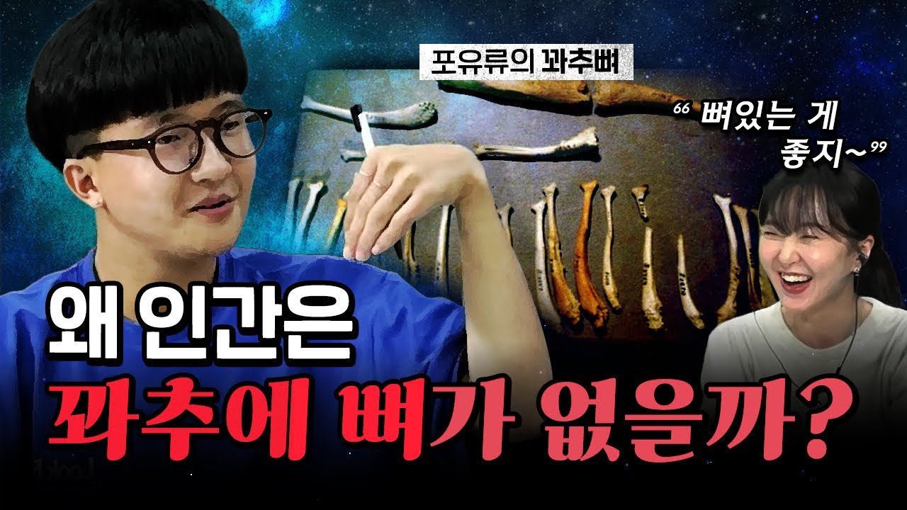 뼈없는 성기로 진화하게 된 이유? [코너별 다시보기]