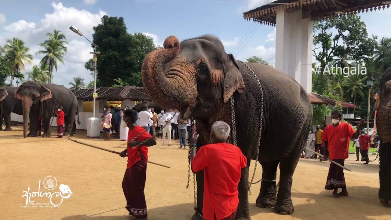 මිහින් රාජා හා රෝහණ රාජා රත්නපුර මහ සමන් දේවාලයේ උඩමළුවට පැමිණ සමන් දෙවි කරුණා කල අයුරු
