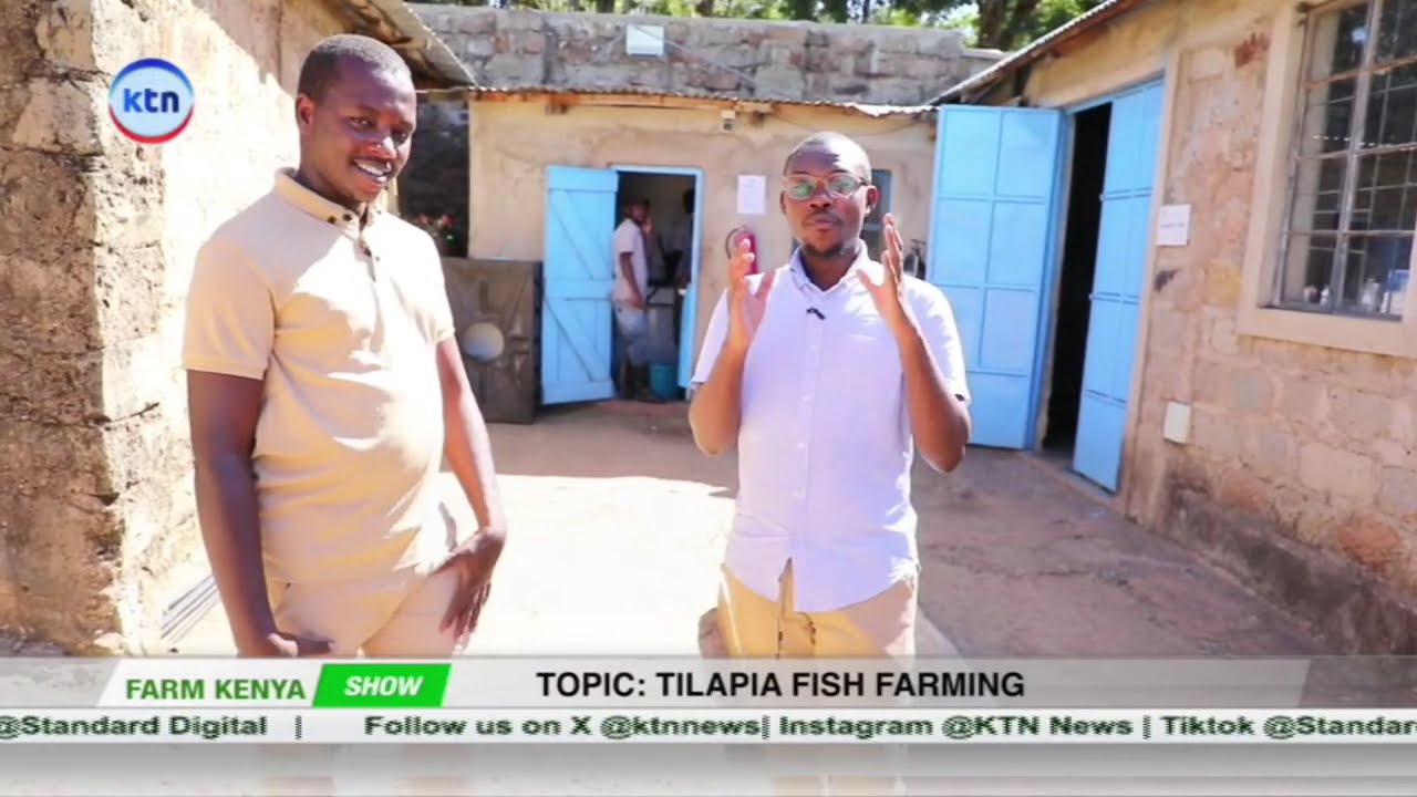 No Experience? No Problem! Learn Fish Farming Step-by-Step || FarmKenya