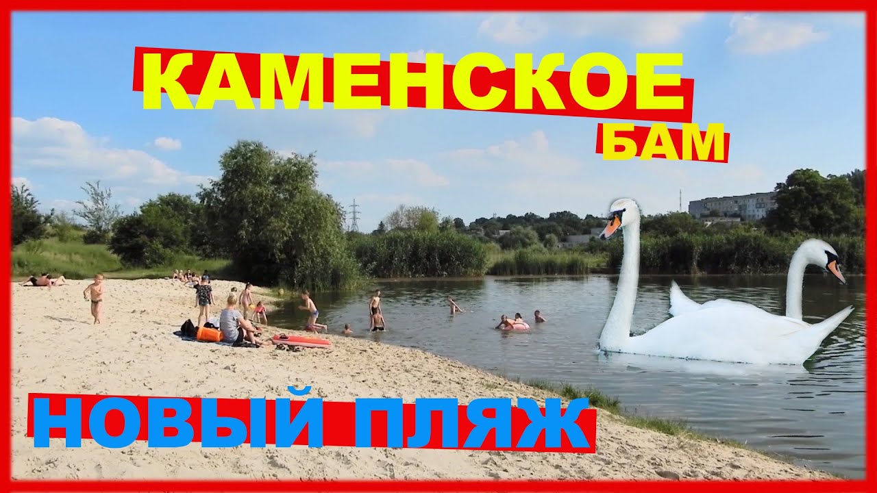 НОВЫЙ ПЛЯЖ В КАМЕНСКОМ ГДЕ ЖИВУТ ЛЕБЕДИ