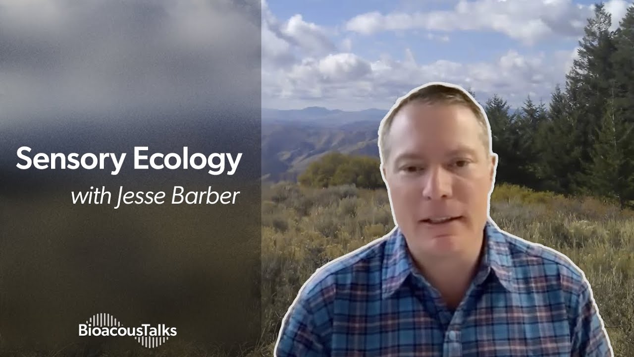 BioacousTalks: Sensory Ecology with Jesse Barber