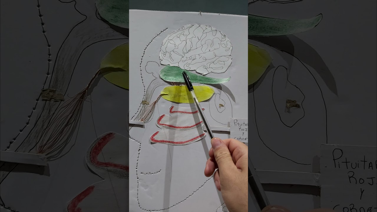 sentido del olfato en 5minutos.