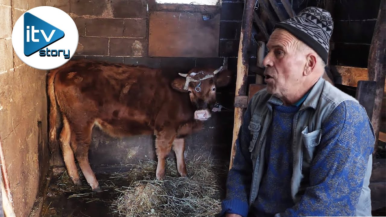 Ja nisam naučio ležat!