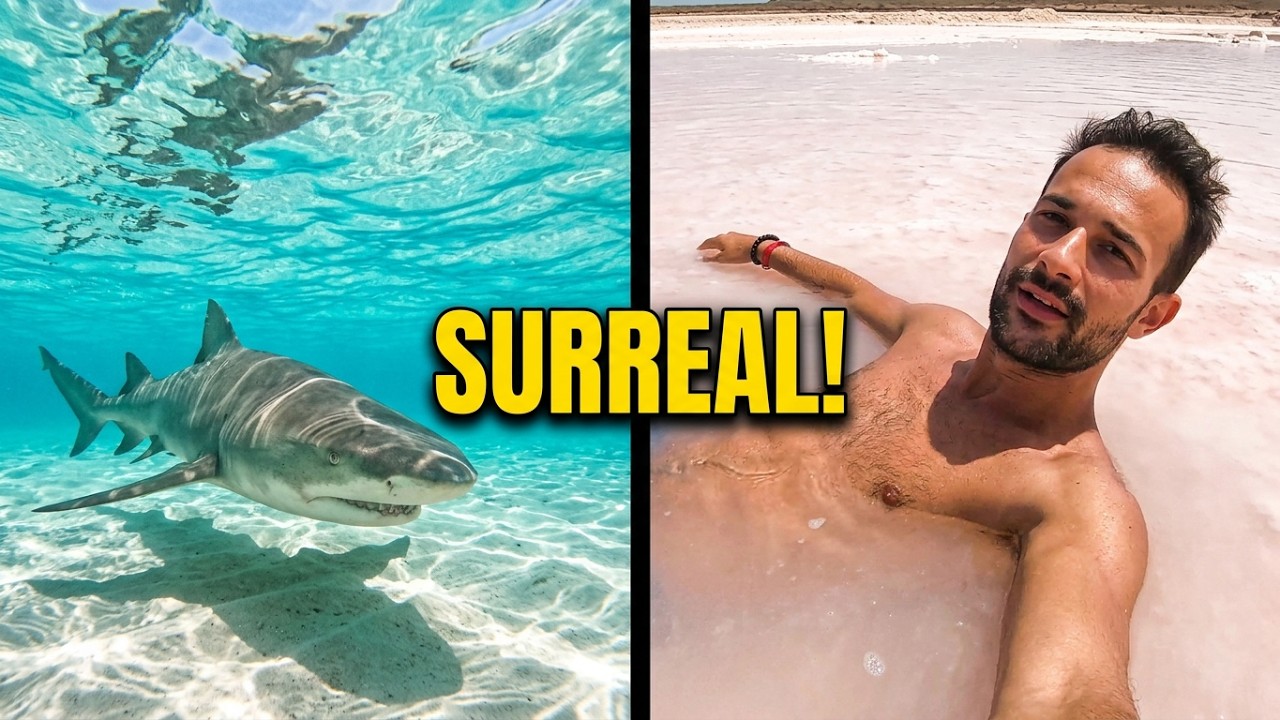 O Melhor da Ilha do Sal 🏝️ | 🦈Tubarões de Perto & Salinas Incríveis
