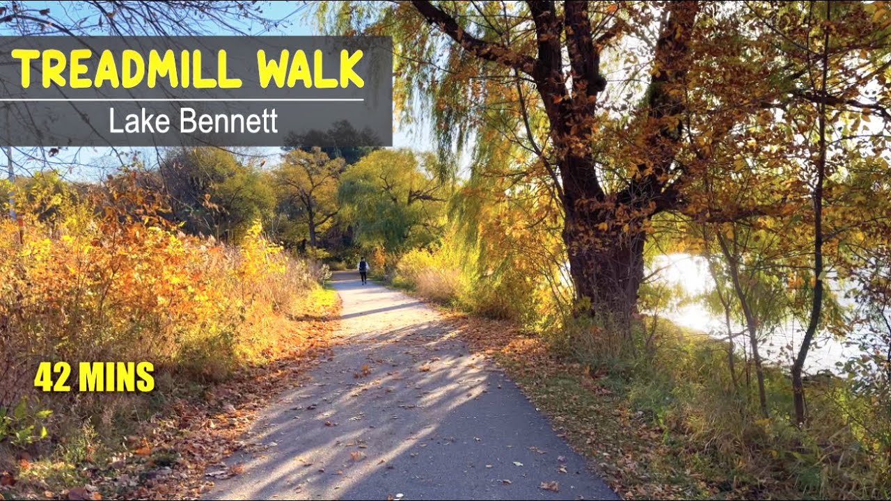 Discover the SECRET to a Calm Mind on This Virtual Treadmill Walk during Fall Season