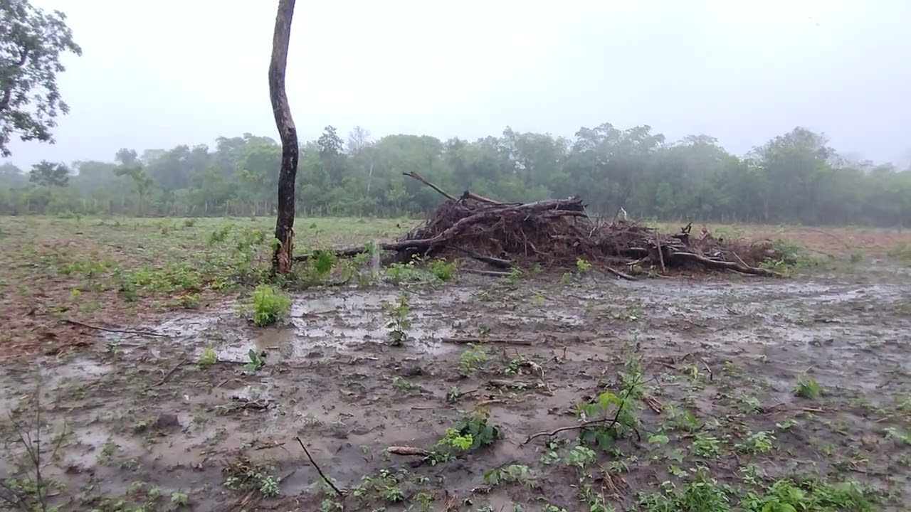 FOMOS NA ROÇA E ESTAVA  CHOVENDO