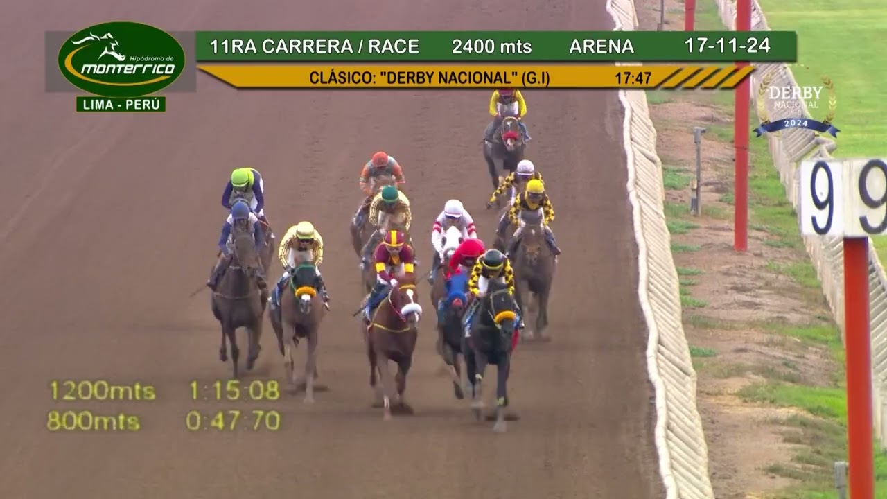 DERBY NACIONAL 2024 HIPODROMO DE MONTERRICO PERU 🇵🇪🐎
