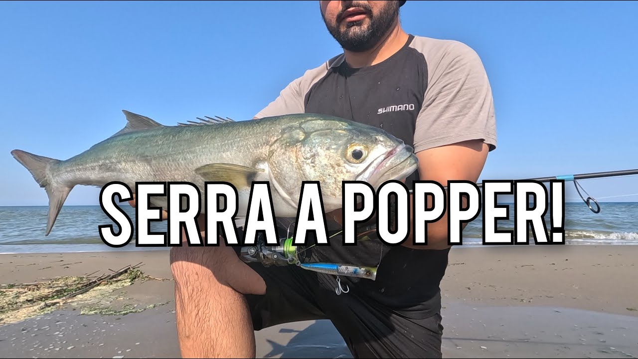 Come PESCARE i pesci SERRA con il POPPER in estate.