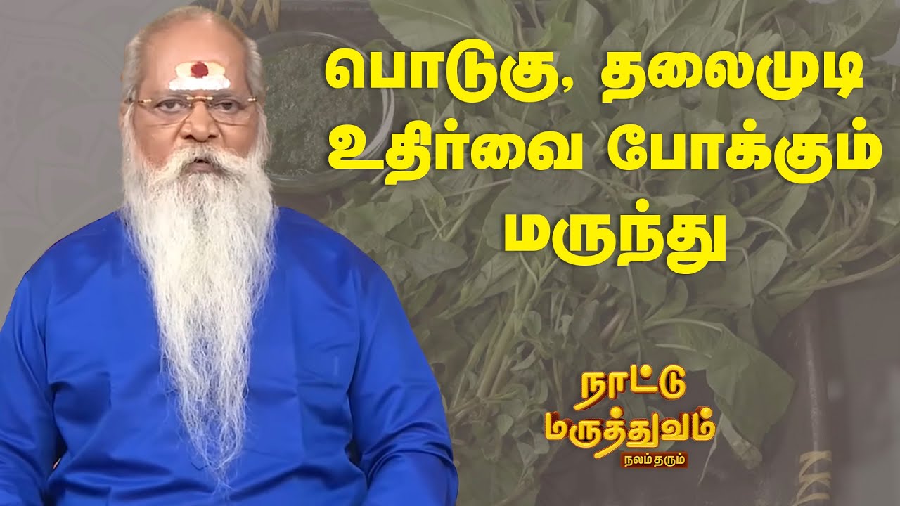 பொடுகு, தலைமுடி உதிர்வை போக்கும் மருந்து  | Nattu Maruthuvam | SunLife