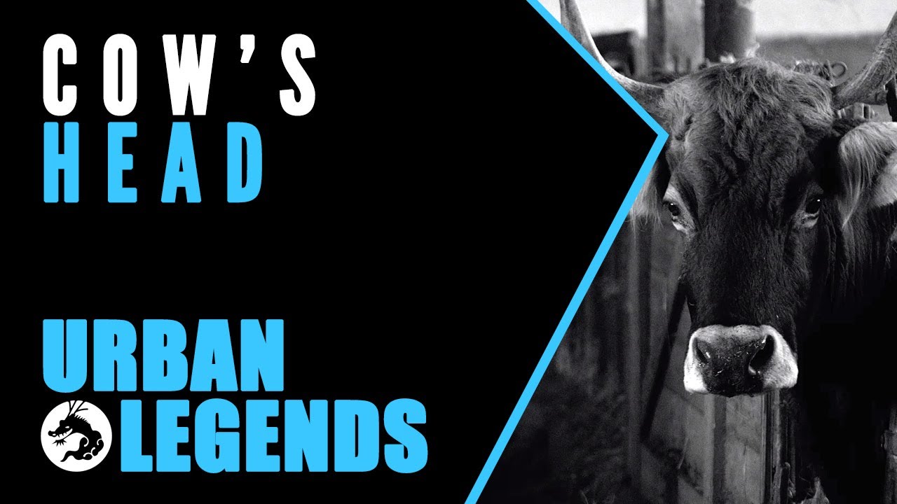 Japanese Urban Legends: The Mystery of Cow’s Head