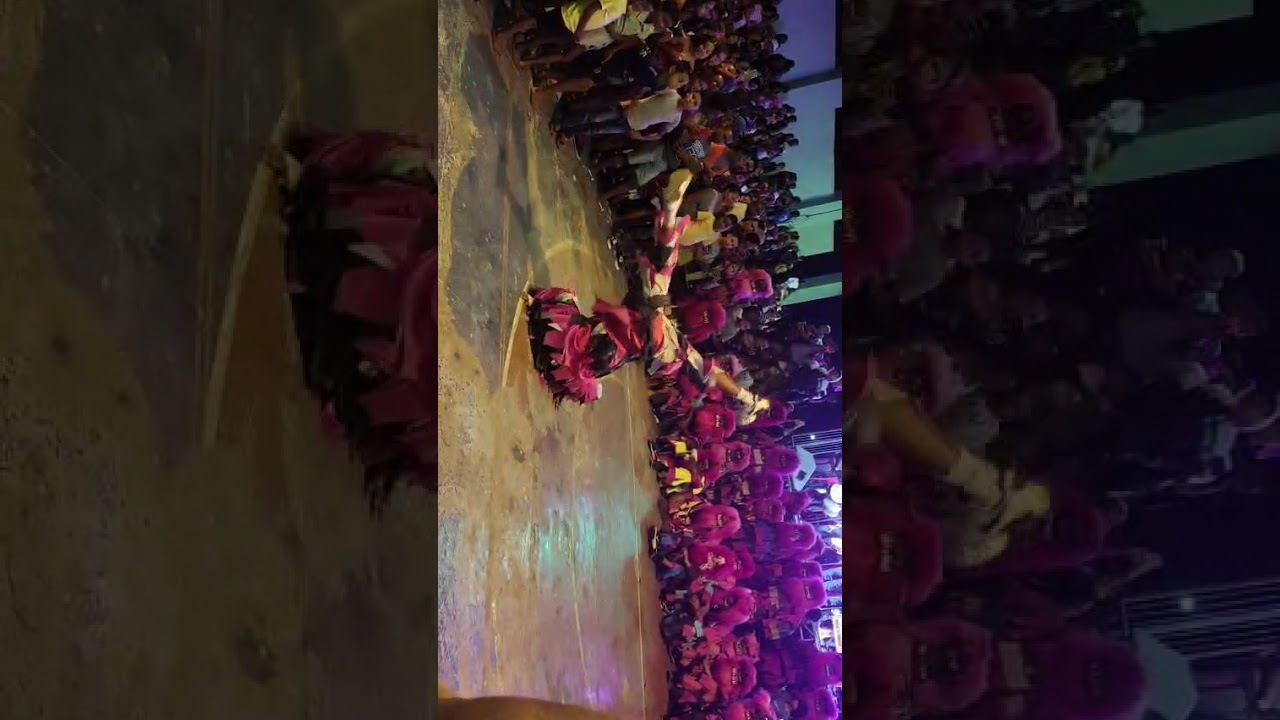 Gosta de conteúdo de folia de Reis se inscreva no canal essa é a apresentação da jornada Lua Nova .